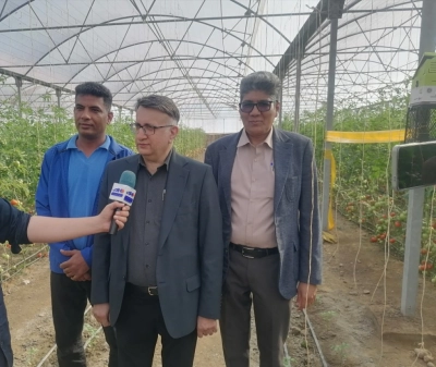 مدیر امور اراضی استان هرمزگان: واگذاری بیش از 2000‪ هکتار اراضی بابت اجرای طرح‌های گلخانه در استان هرمزگان