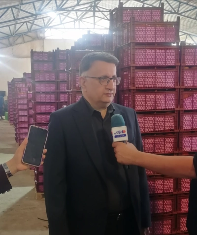 شکوهی:طرح بسته‌بندی در شهرستان حاجی آباد  نمونه‌ای موفق از بهره‌برداری بهینه از اراضی واگذار شده است